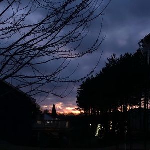 Meet your Posher, Hayley